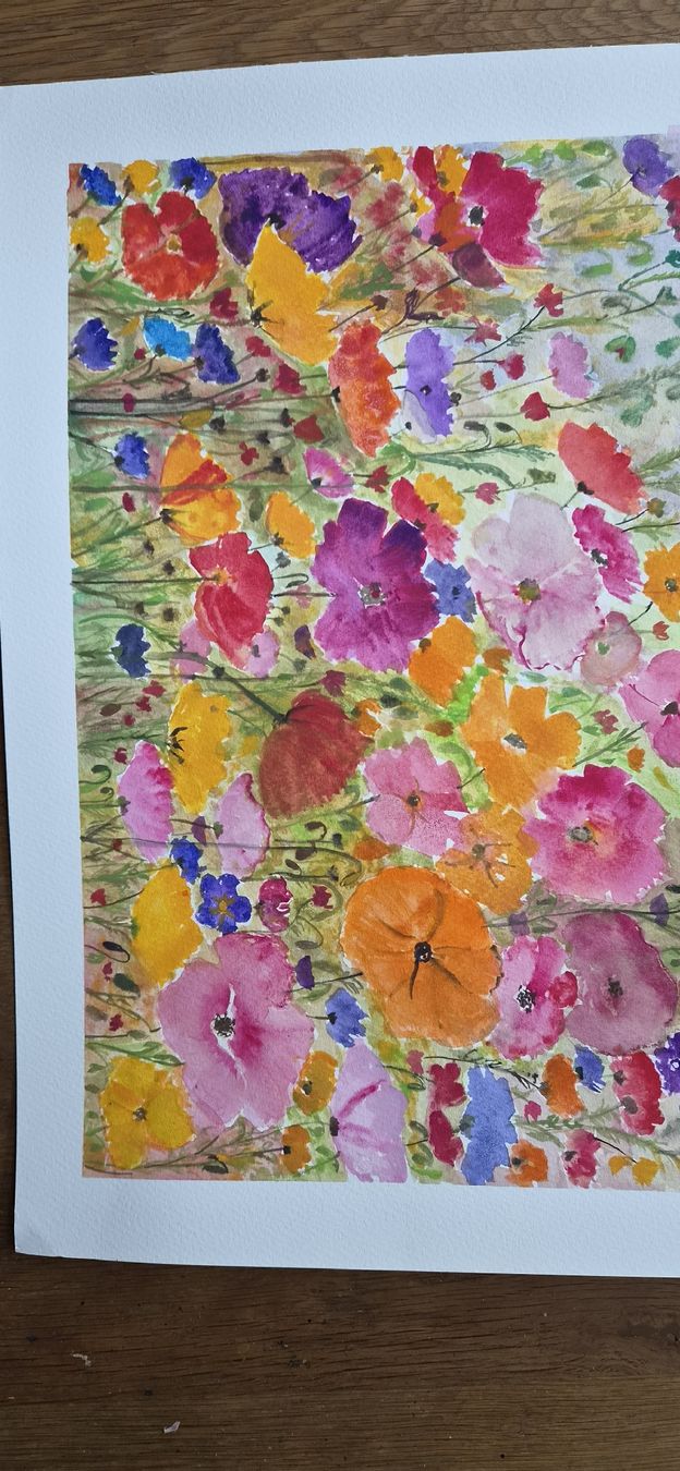 Dipinti: Colorful poppies – Nuovo e nell'imballaggio originale da Ebikon venduto da vij_fg72 4