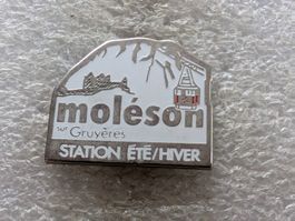 Ansteckpin 218: Moleson