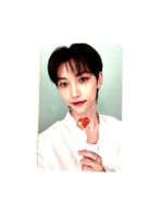 stray kids felix maxident kpop photocard