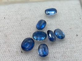 Kyanite, natürlich, Kornblumenblau, 7 Stück