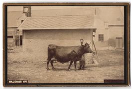 Fotografie Carl Ritt v. Schlag, Ort unbe