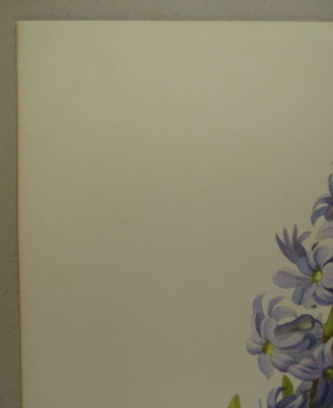 Incisioni: JACINTHE, HYAZINTHE, LITHOGRAPHIE UM 1850 – Usato da Grüningen venduto da Kartensammler 3