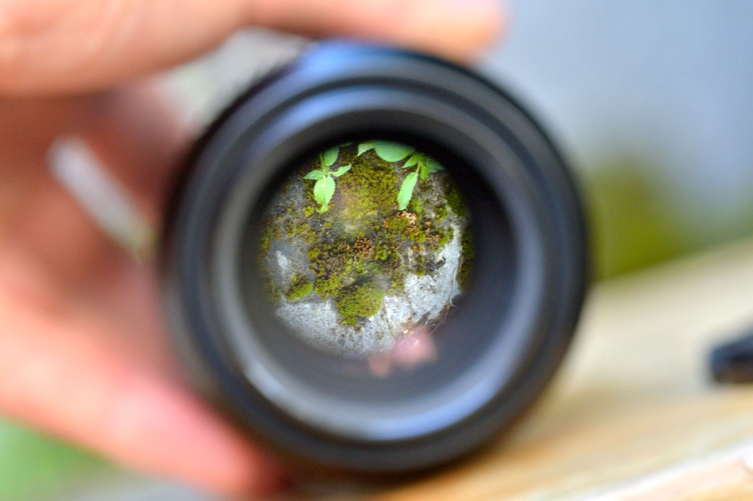 Nikon Objektive: Nikon Macro 105mm f2.8 – Gebraucht aus Lichtensteig von dan_rj7z 8