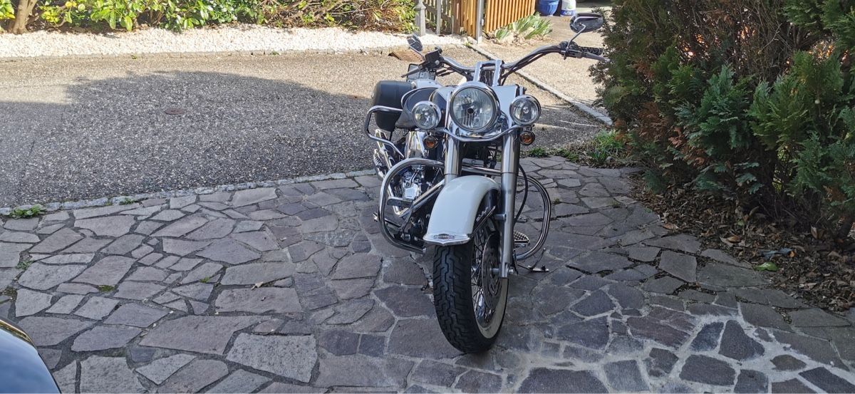 Touring: Harley-Davidson soft tail deluxe – Usato da Liesberg Dorf venduto da cavannii 4