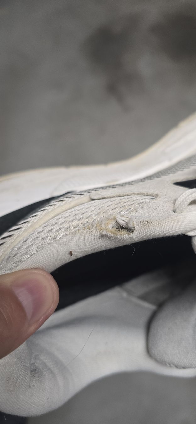 Herrenschuhe: Puma Rs 42 – Gebraucht aus Würenlos von Eyeq 4