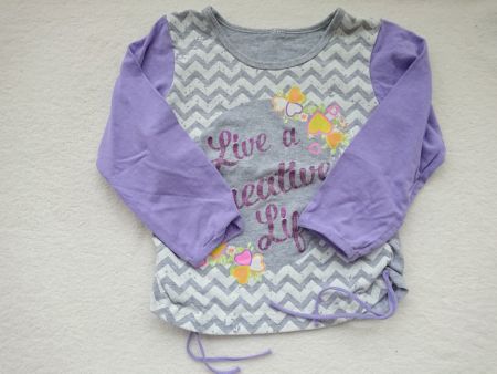 Mädchen Langarmshirt Gr. 104 4Y Grau Violette