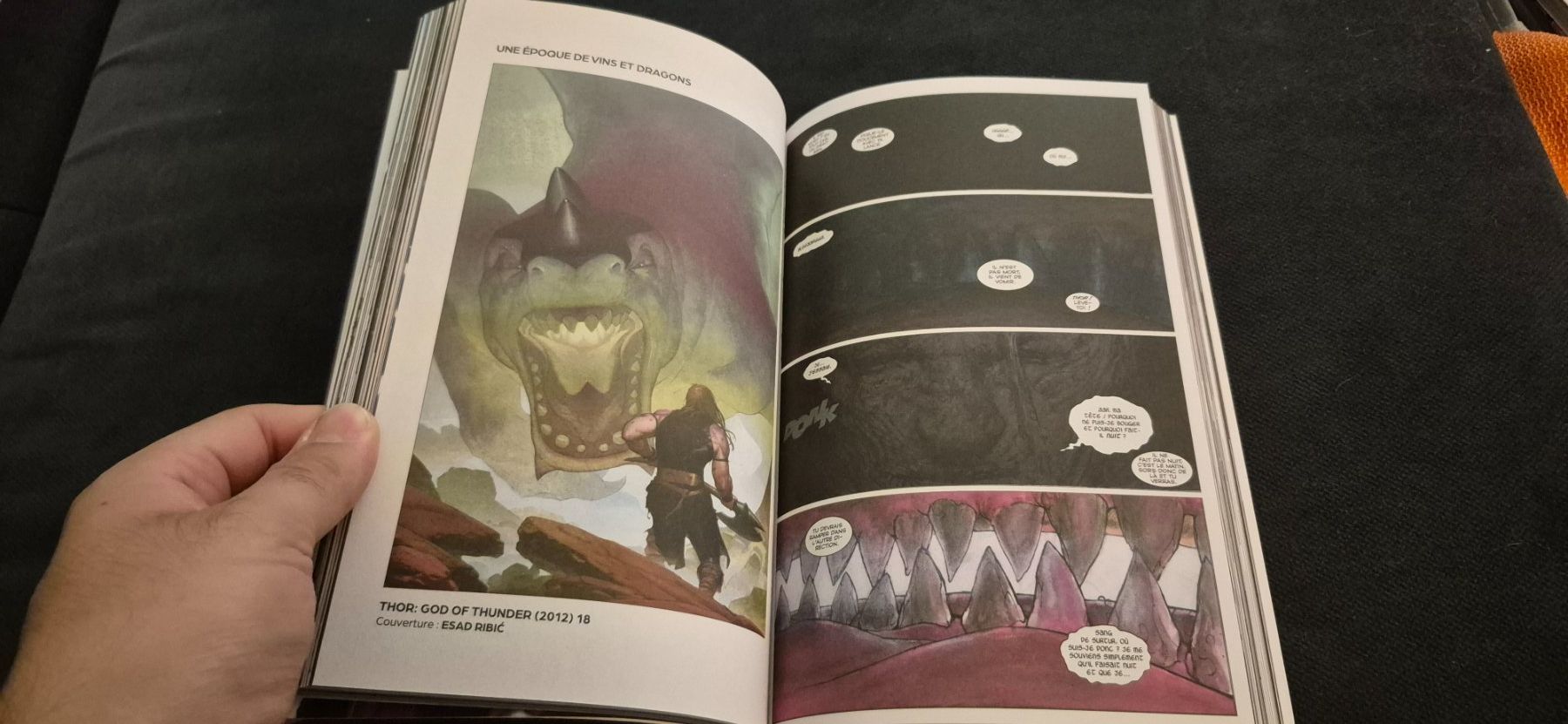 Comics: THOR LE MAUDIT TOME 2 MARVEL COMICS BD FRANÇAIS 2026 – Gebraucht aus Grand-Lancy von luc111 6