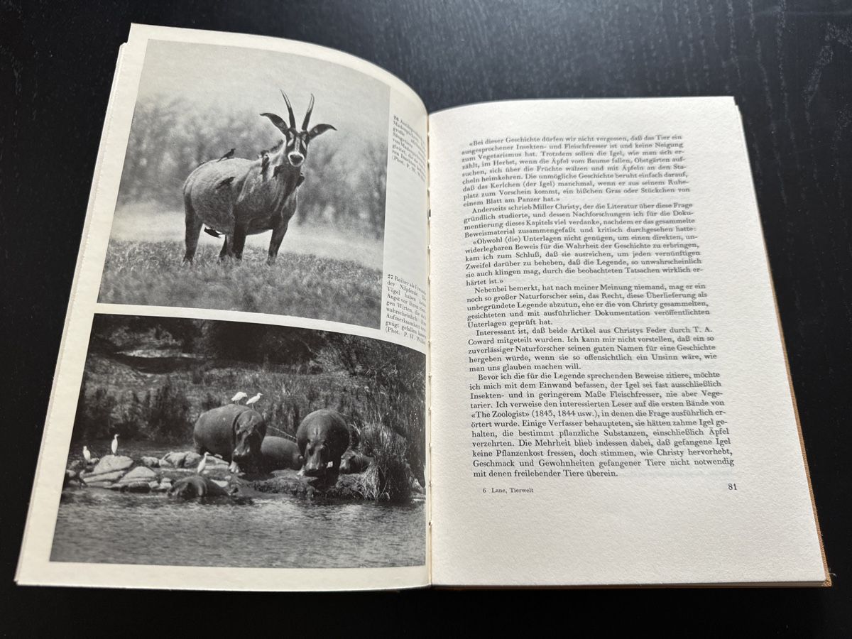 Libri: Seltsames in der Tierwelt – Usato da Erstfeld venduto da Mario_boe0 3