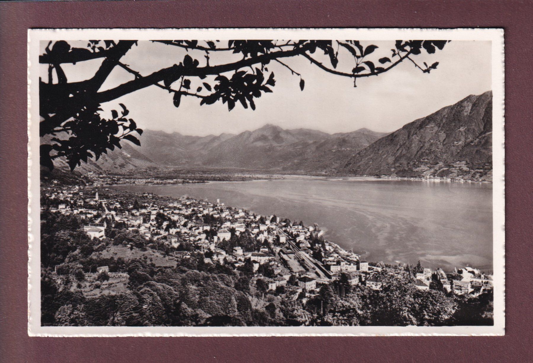 Cartoline postali: LOCARNO - Veduta generale - Feldpost – Usato da Pully venduto da nicecards