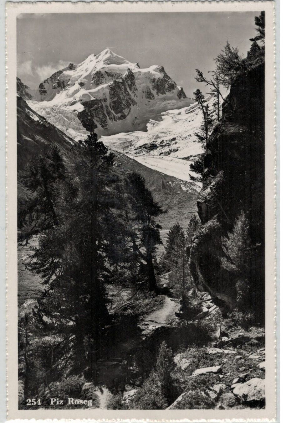 Cartoline postali: GR 75 Piz Roseg 1953 – Usato da Fribourg venduto da philafri