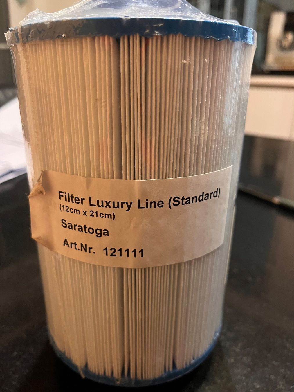 Sanitari: Wasserfilter für Whirlpool – Nuovo e nell'imballaggio originale da Niederglatt ZH venduto da Schuppi 1