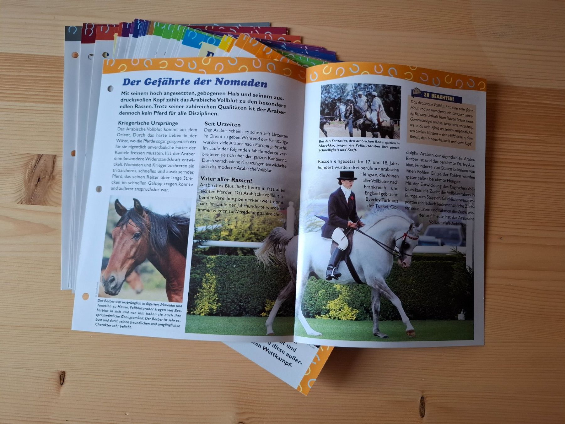 Libri: Pferdebücher und Zeitschriften – Usato da Oberurnen venduto da rotty80 7