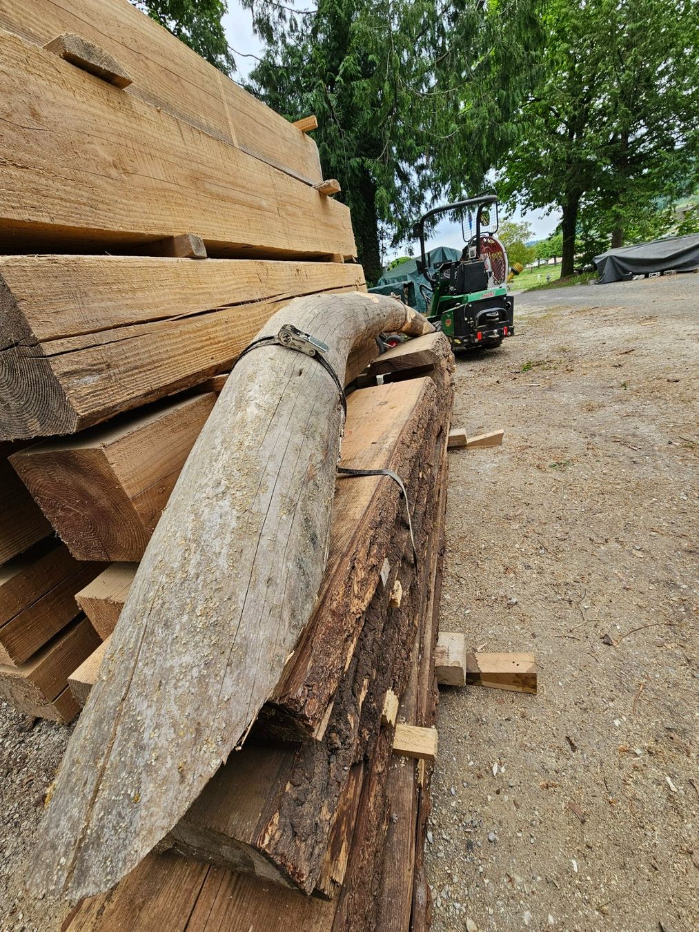 Holzartikel: Bogenstamm – Neu (gemäss Beschreibung) aus Aarburg von Joerg.Andre 1