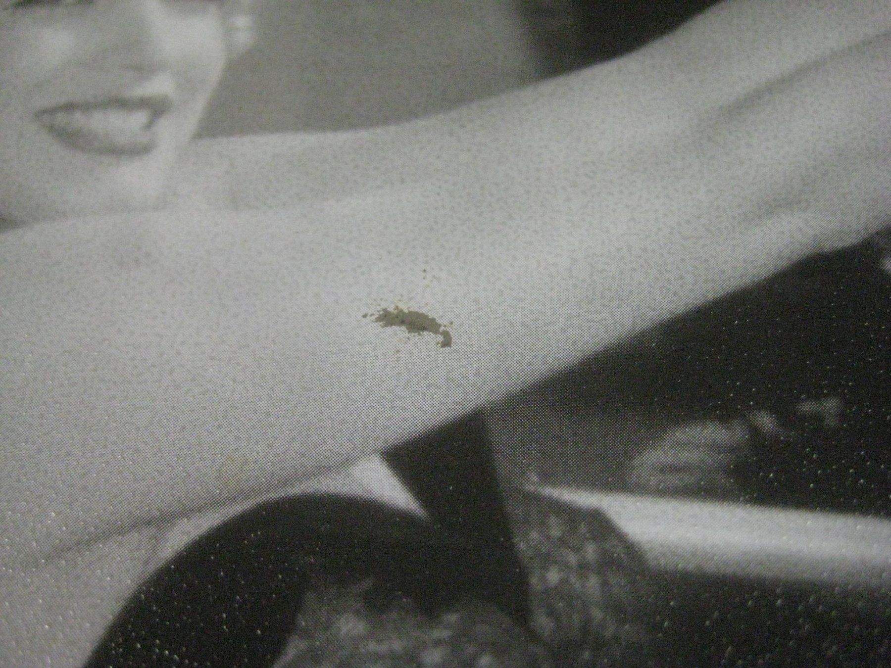 Ecriteaux: MARLYN  MONROE   BLECH   TAFEL – D'occasion à Uster par flocke1 3