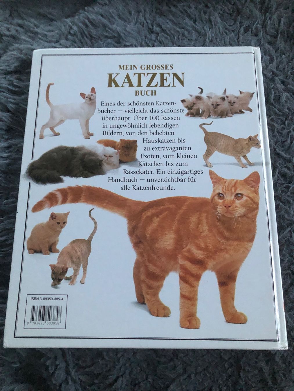 Libri: Mein grosses Katzenbuch – Usato da Hinwil venduto da dadalina76 1