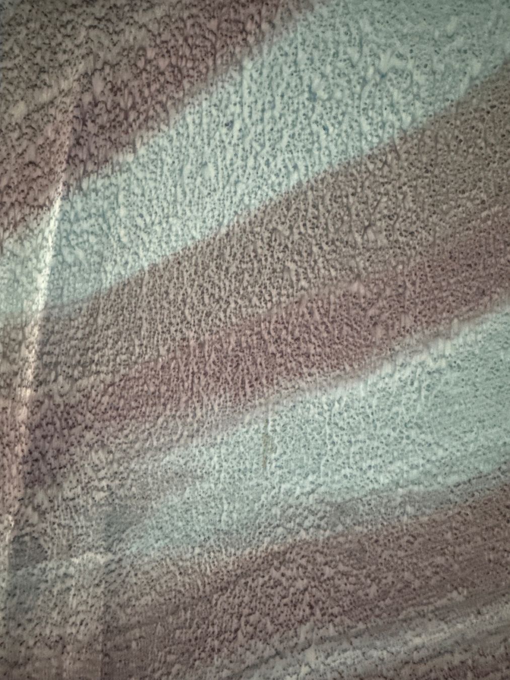 Foulard & Sciarpe: Tuch / Schal in blau / grau – Usato da Zug venduto da Hehe 1