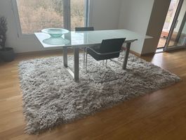Grosser Teppich 200x290 cm hellgrau, Neupreis 590 CHF