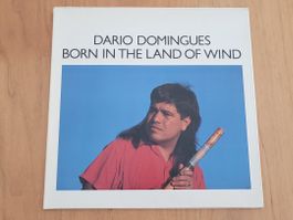 LP  Dario Domingues