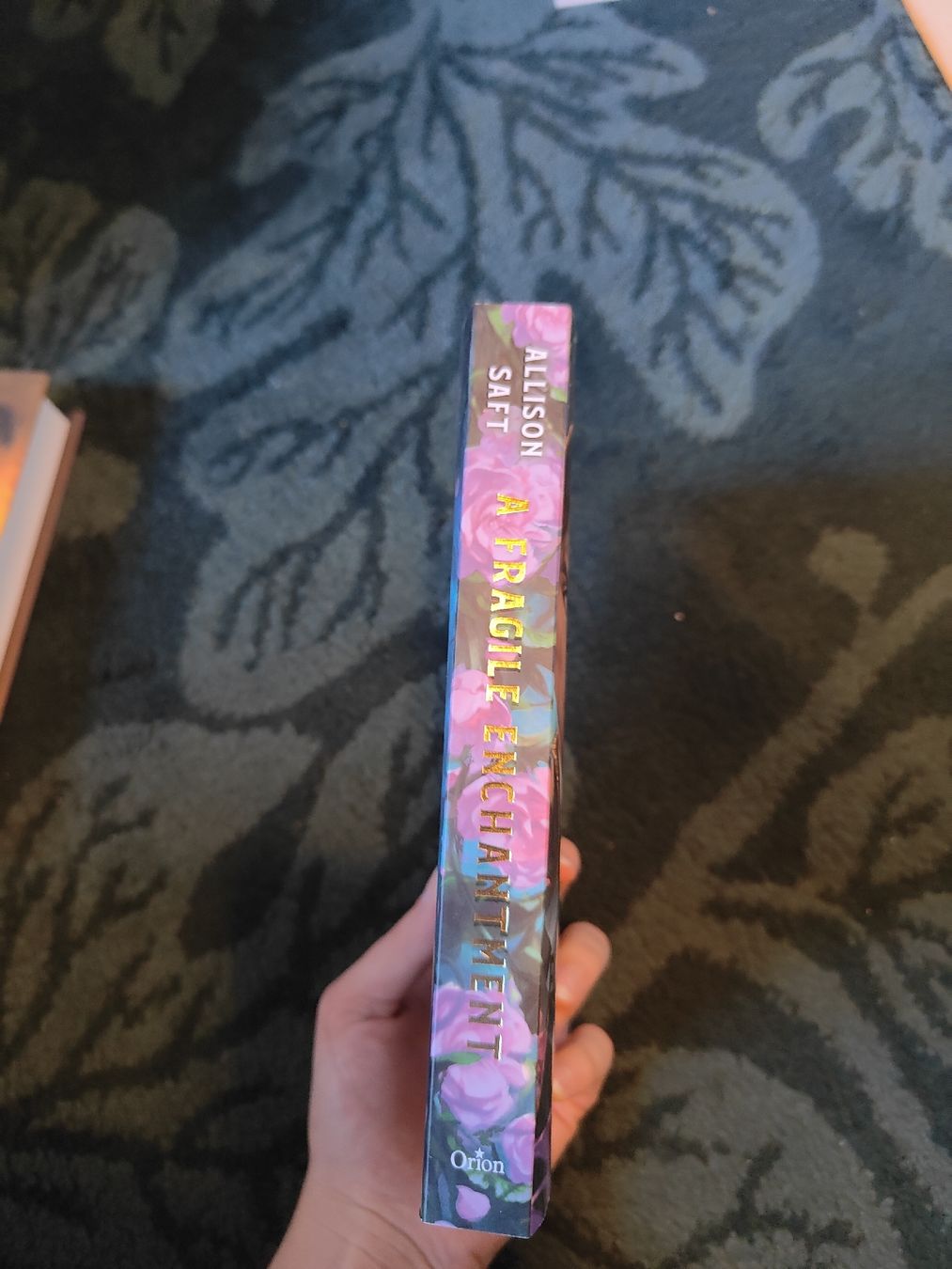 Bücher: book "A  Fragile Enchantment", Allison Saft – Gebraucht aus Coeuve von sap_2pfr 2