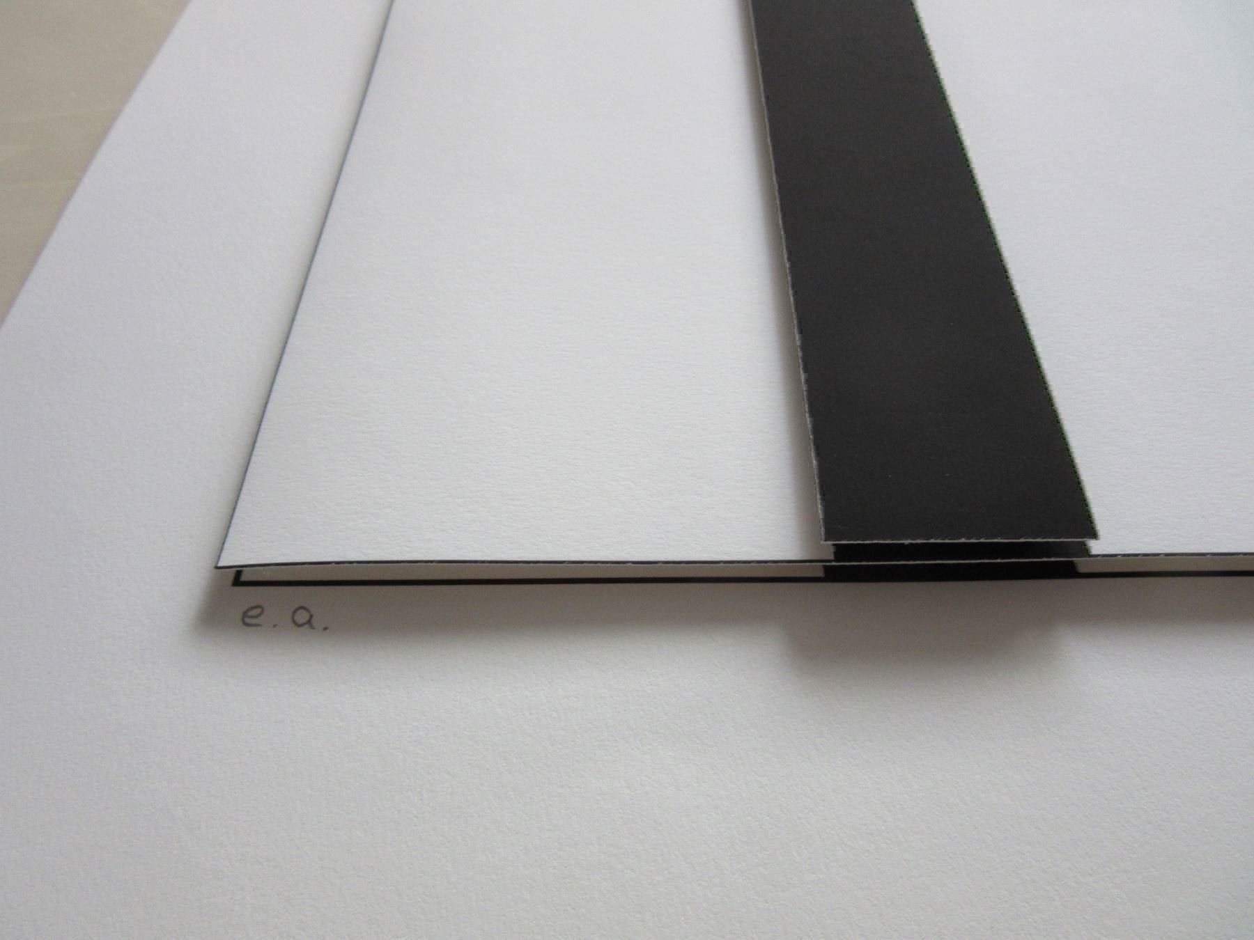 Foto & Immagini: GOTTFRIED HONEGGER  ORIG.3D WERK E.A – Usato da Gersau venduto da grafik-kunst 3