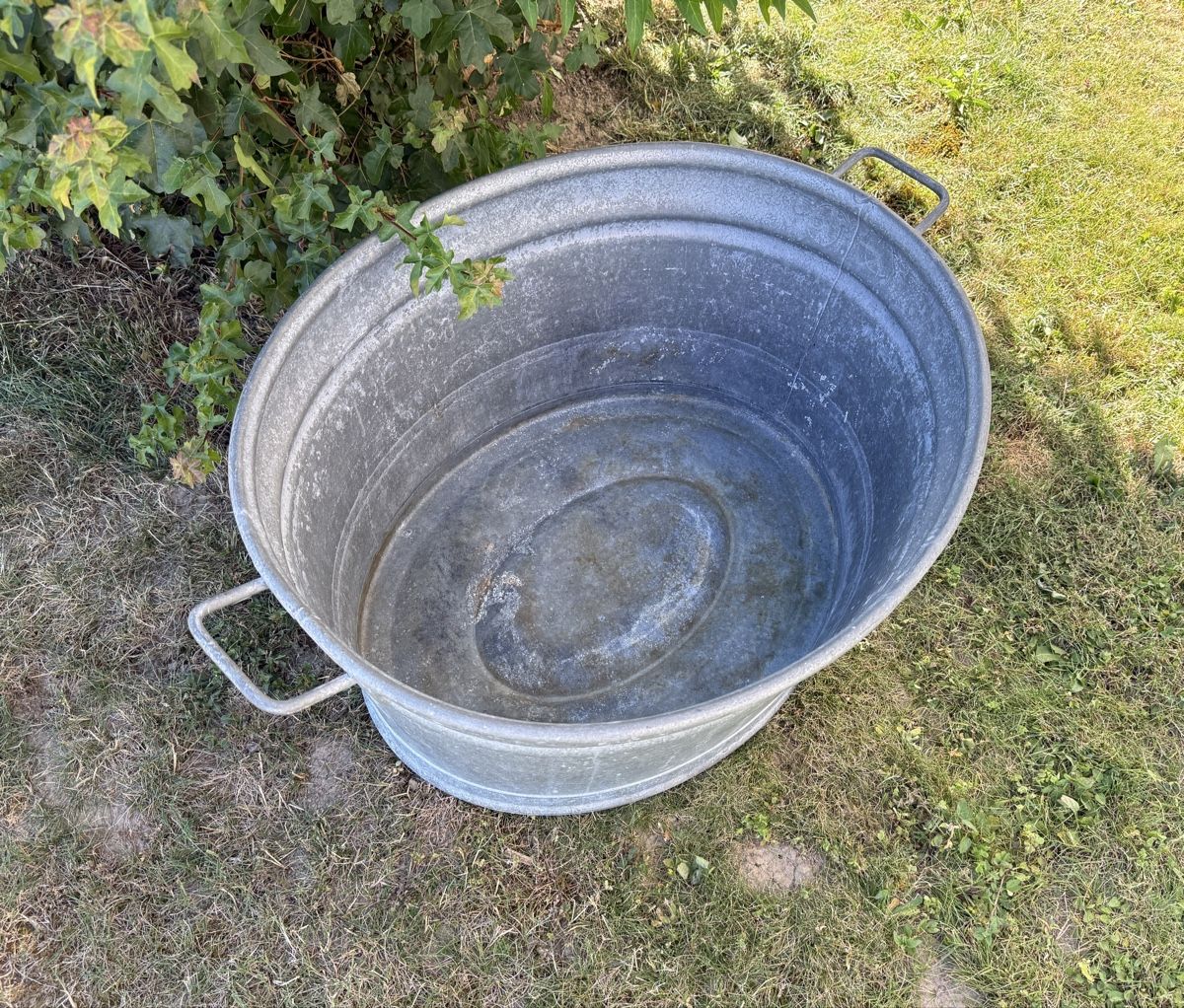 Altre Decorazioni per giardino: Zuber Zinkwanne dicht 65 L – Usato da Gerlafingen venduto da sternrose 2