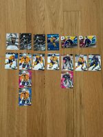 SportZoo HC Davos diverse Karten 2025/26