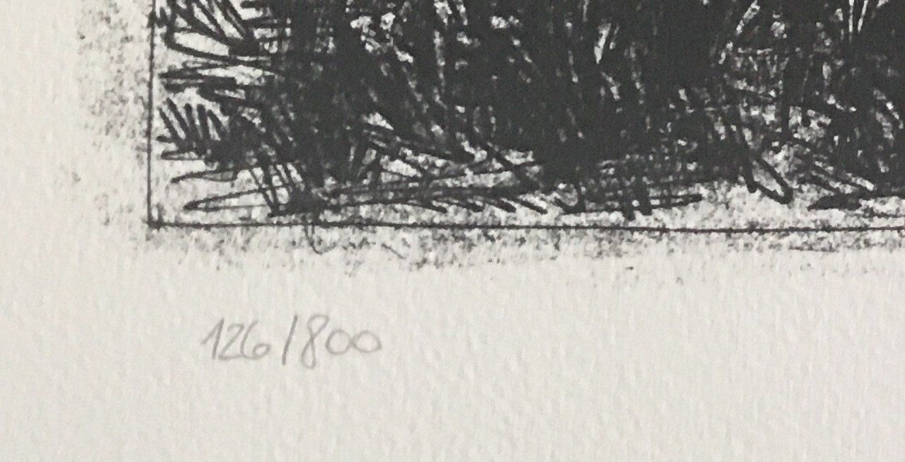 Grafica & Litografie: Pablo Picasso   Buffon Zyklus    "L' Ane"   Lithographie – Usato da Nennigkofen venduto da Sommersonnen 5