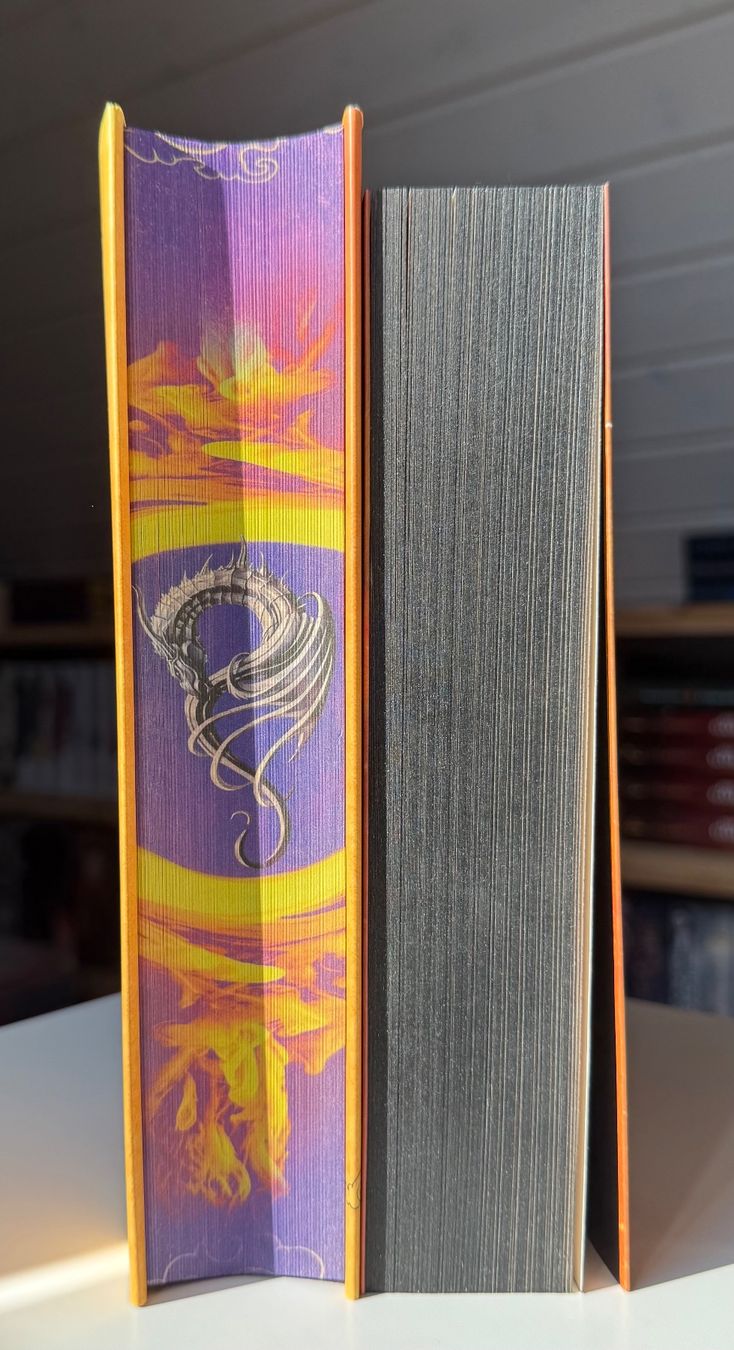 Bücher: Zwei Fantasy Romane "Fear the Flame" und "Bound by Flames" – Neu (gemäss Beschreibung) aus Eichberg von Lolapop18 2