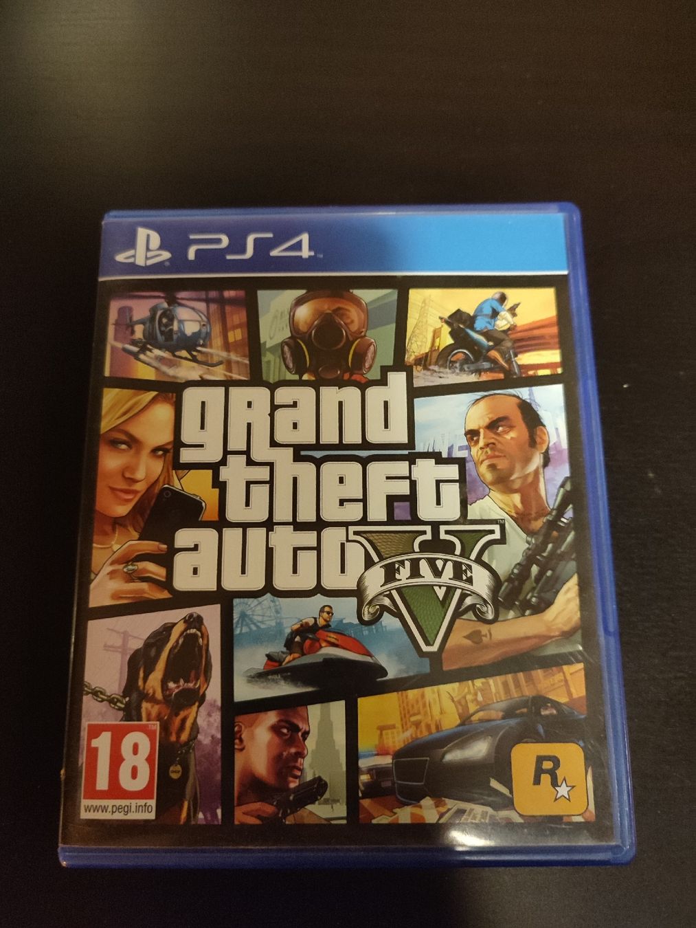 Sony Giochi: PS4 Grand Theft Auto 5 Game Disc – Usato da Martigny venduto da Errika