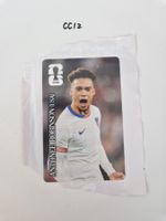 Panini Sticker CC12