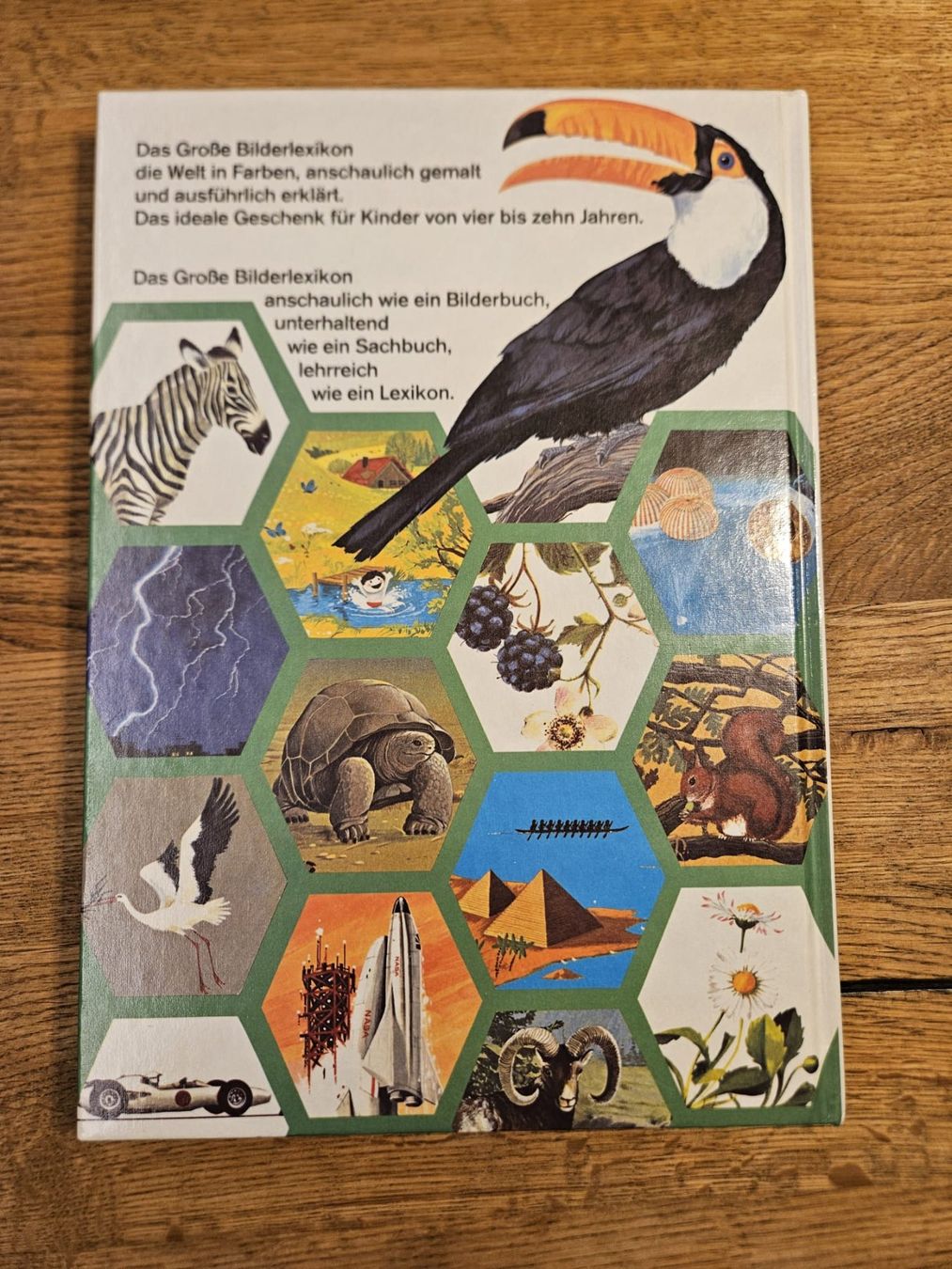 Libri: Antikes Kinderbuch - Das Grosse Bilderlexikon – Usato da Birr venduto da DisDas 1