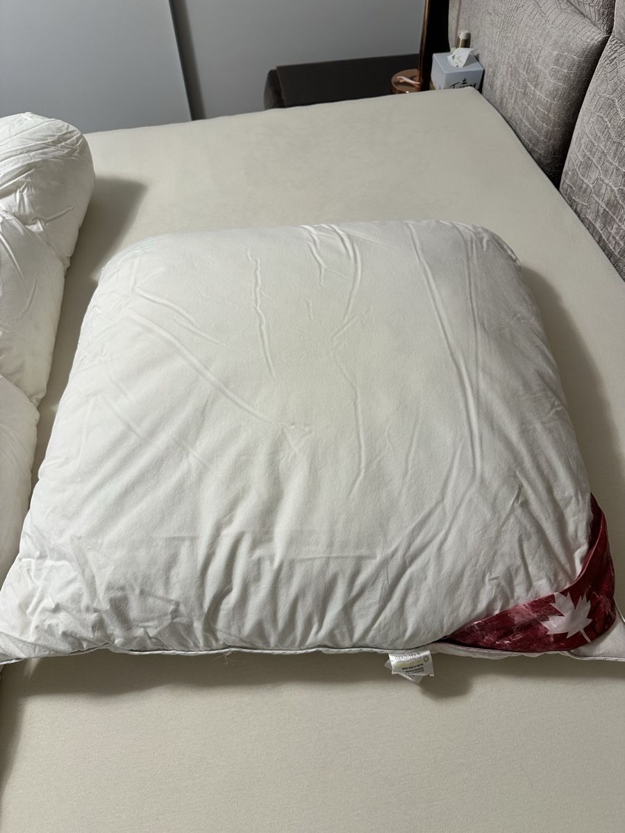 Coperte: Daunendecke und Kissen – Usato da Frümsen venduto da Swissline90 3