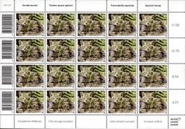 Bogen Europäische Wildkatze**