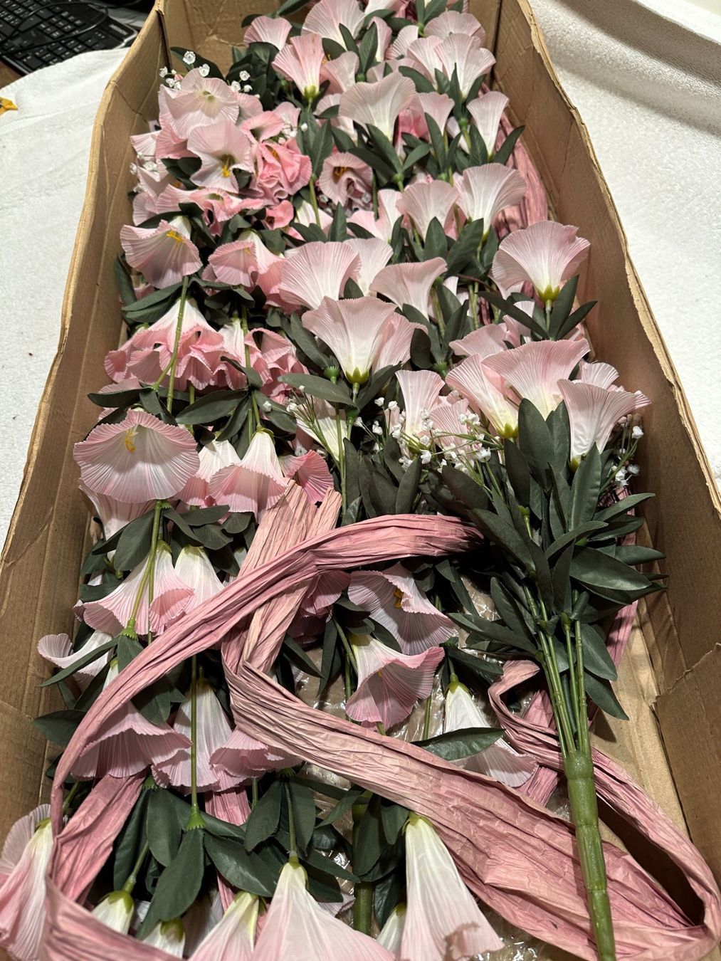 Piante & sementi: Blumen rosa – Usato da Laupen ZH venduto da Mcafi02 1