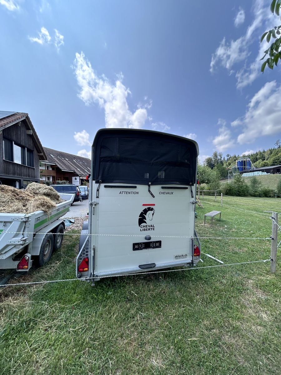 Cheval Liberte Rimorchi: Cheval Liberte Maxi2 – Usato da Unterkulm venduto da sparta05 2