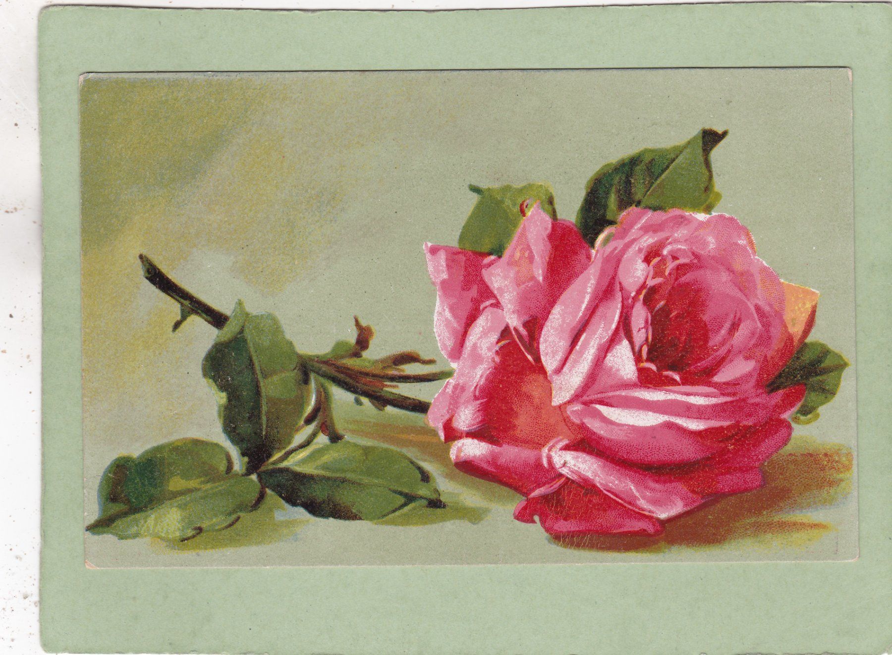 Ansichtskarten: Rose 1920 – Gebraucht aus Herisau von Lisegrat2008