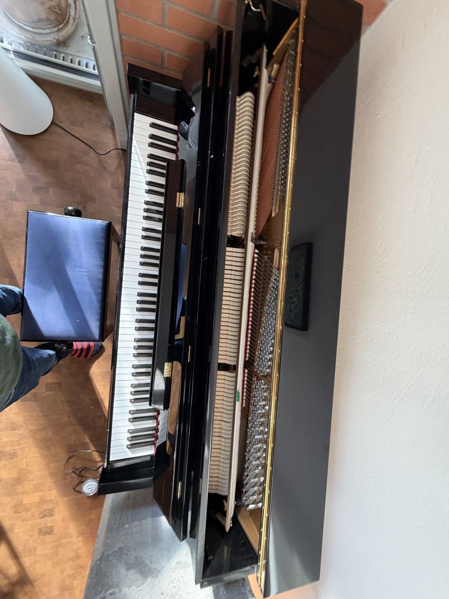 Musikinstrumente: Klavier Orlando – Gebraucht aus Cham von carlo112 3