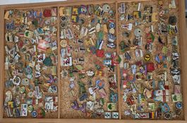 Pin Sammlung