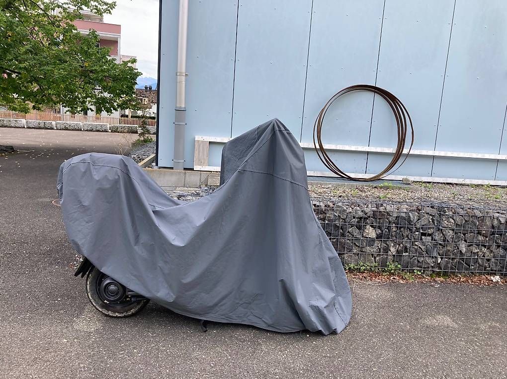 Veicoli elettrici: E- Roller 45 km/h – Usato da Wolfhausen venduto da san_8ns5 4