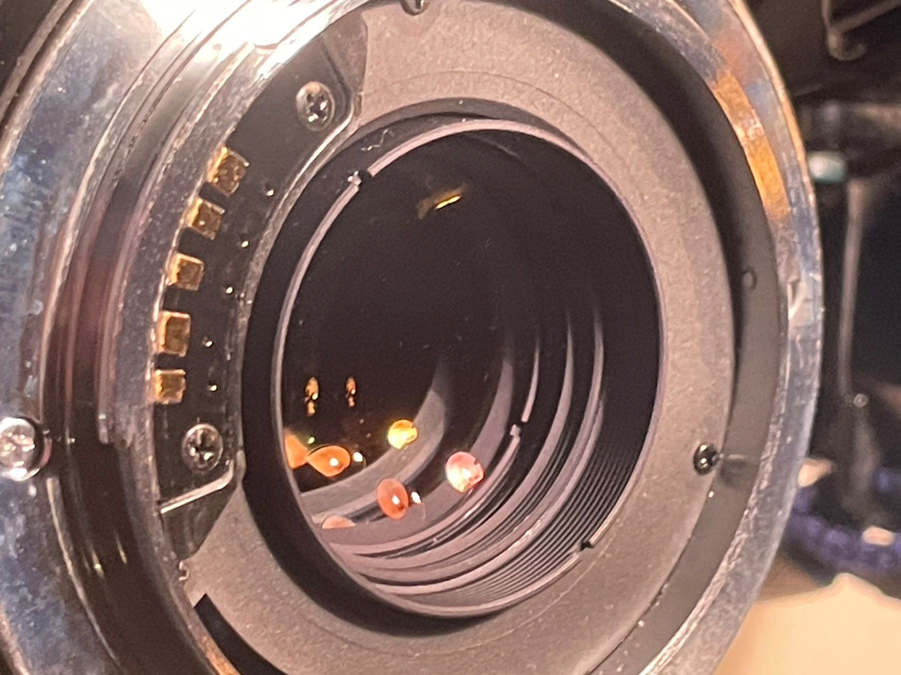 Minolta Fotocamera: Minolta 7000 AF Analog Kamera mit Objektiv – Usato da Embrach venduto da xenovolcano 3