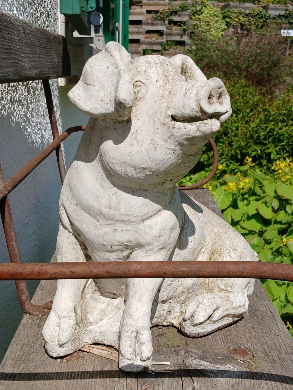 Sculture & Statue: Schwein Gartenskulptur gegossen – Usato da Zumikon venduto da Vollvintage 9