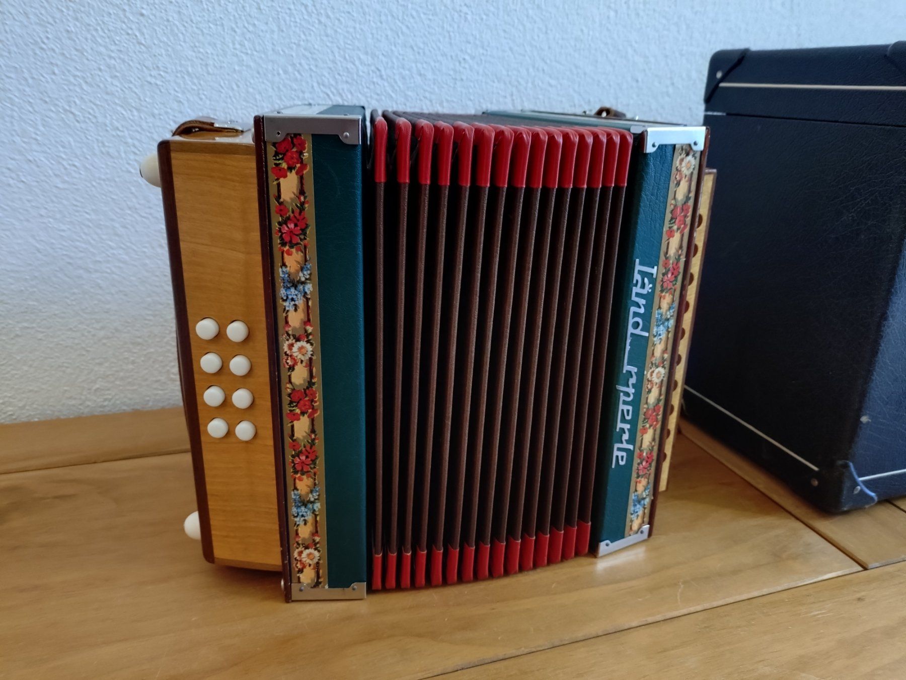 Strumenti musicali: Schwyzerörgeli "Ländlerperle" – Difettoso da Buochs venduto da mar_z6jf 1