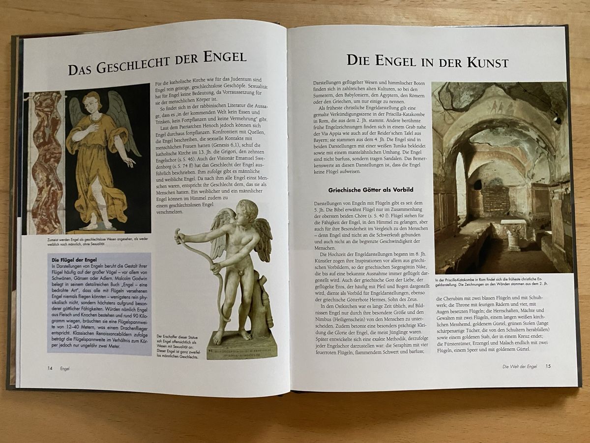 Libri: Engel / Boten des Göttlichen - Flora Macallan – Usato da Schwarzenburg venduto da Michellu 5
