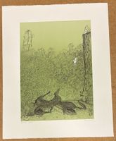 Witzige Krokodil- Szene von Jürg Furrer      (ID b3460)