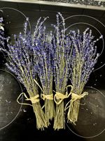 Lavendel Strauss 4 Stück ca. 25 ++ cm neue Ernte 