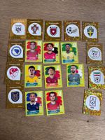 19 Panini Sticker