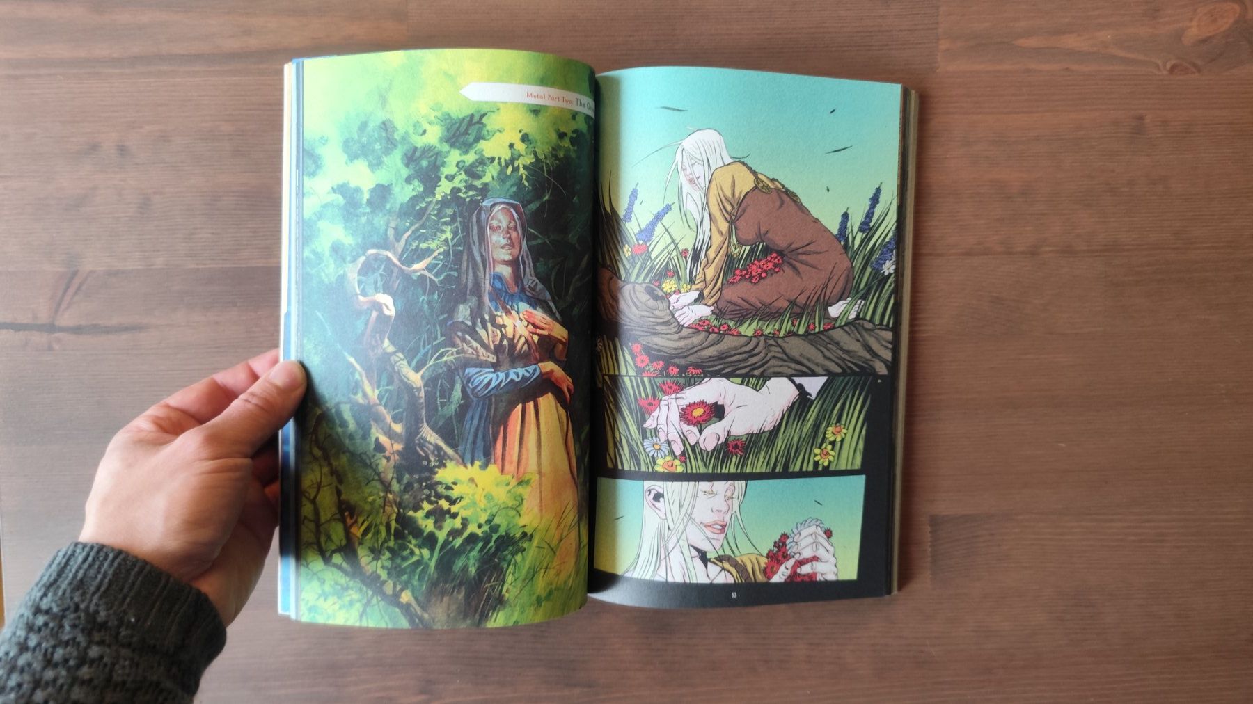Fumetti: Northlanders Metal TPB: Wikinger Saga, Englisch, Vertigo – Usato da Liebefeld venduto da Oakman771 3