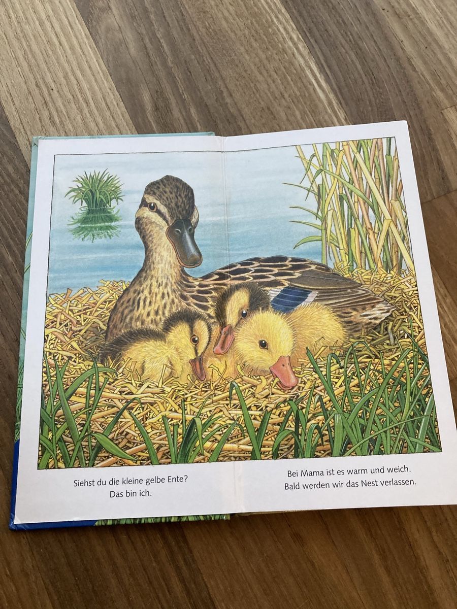 Bücher: Buch- Die kleine Ente – Gebraucht aus Luzern von Aldabema 2