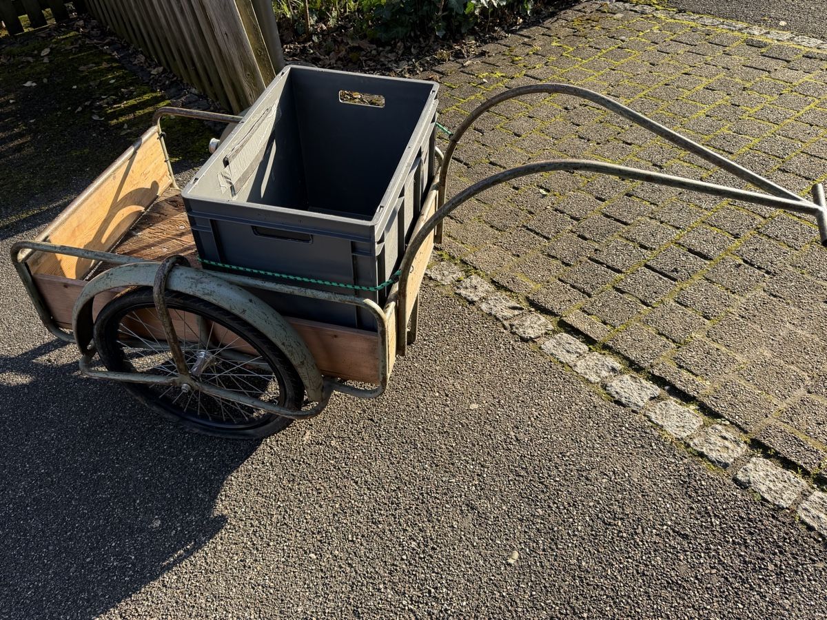 Rimorchi: Veloanhänger , robust & praktisch – Usato da Liestal venduto da Schnaeppli4410 1
