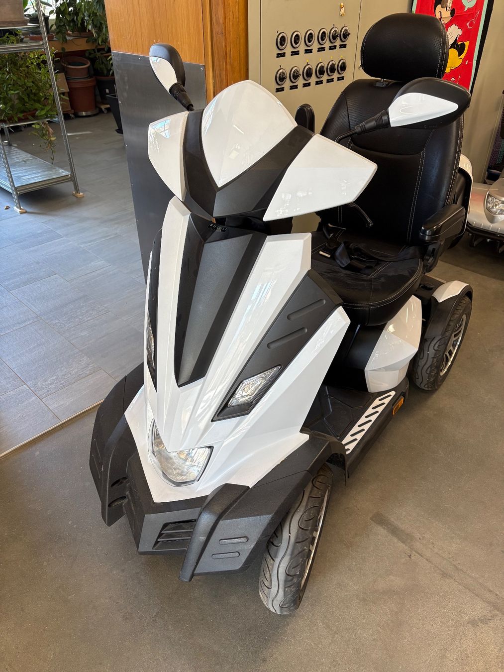 Veicoli elettrici: E-Mobil, Maximo S – Usato da Rodels venduto da julietta.libero 1